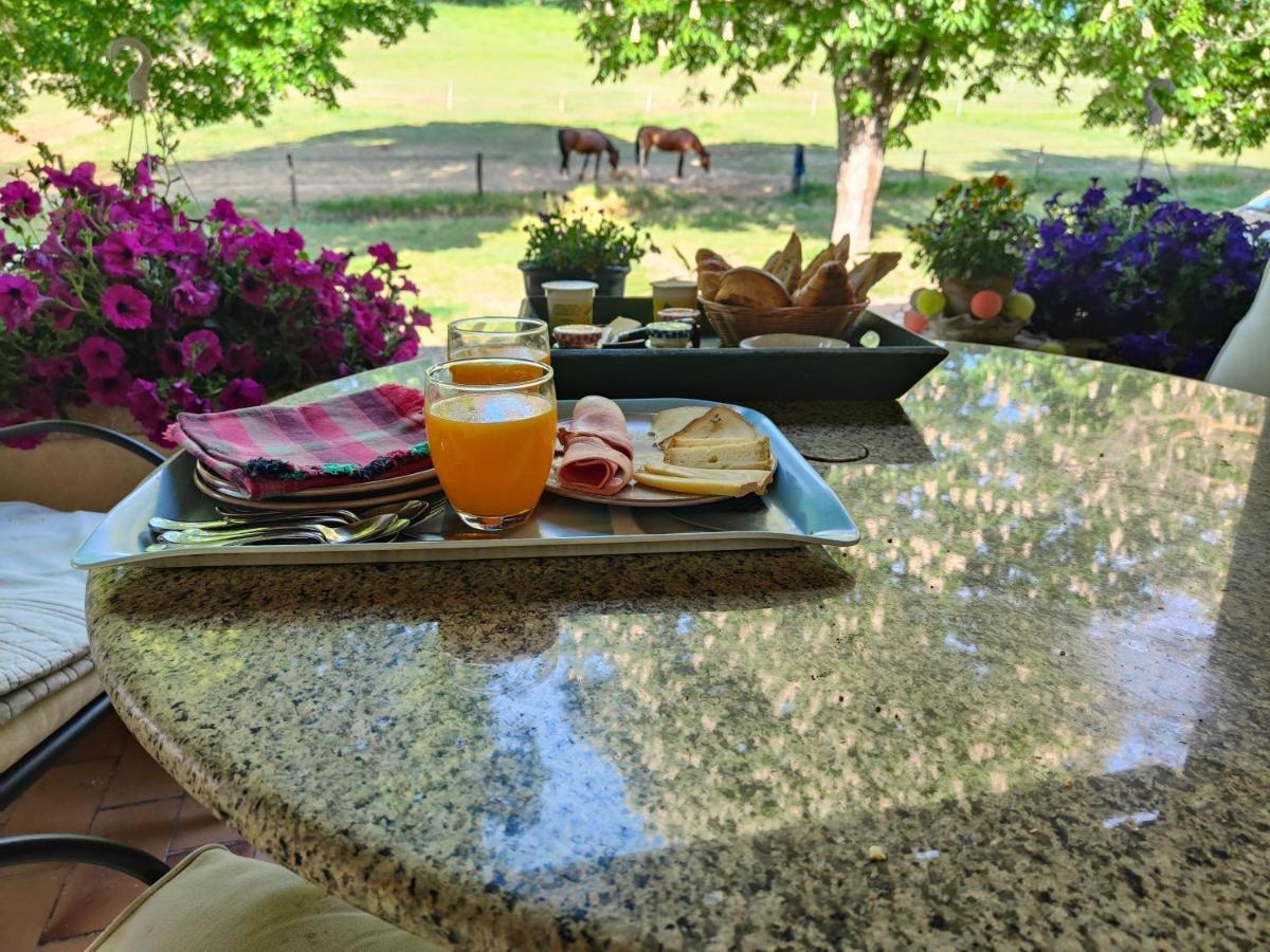 Domaine Bellavigne Gites Et Spa Forcalquier Buitenkant foto
