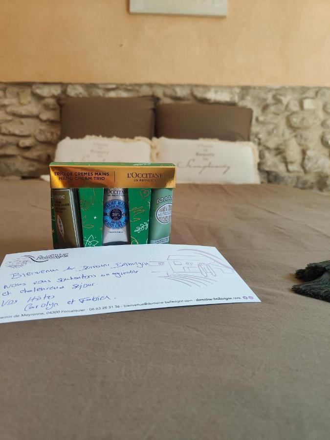 Domaine Bellavigne Gites Et Spa Forcalquier Buitenkant foto